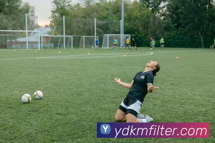 九游体育平台生态图