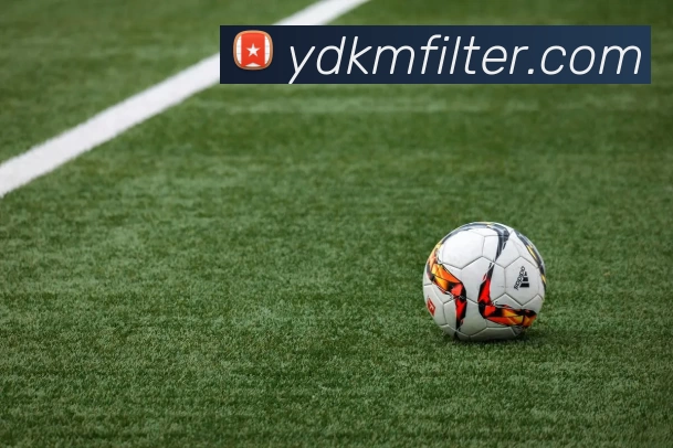 App Interface Preview