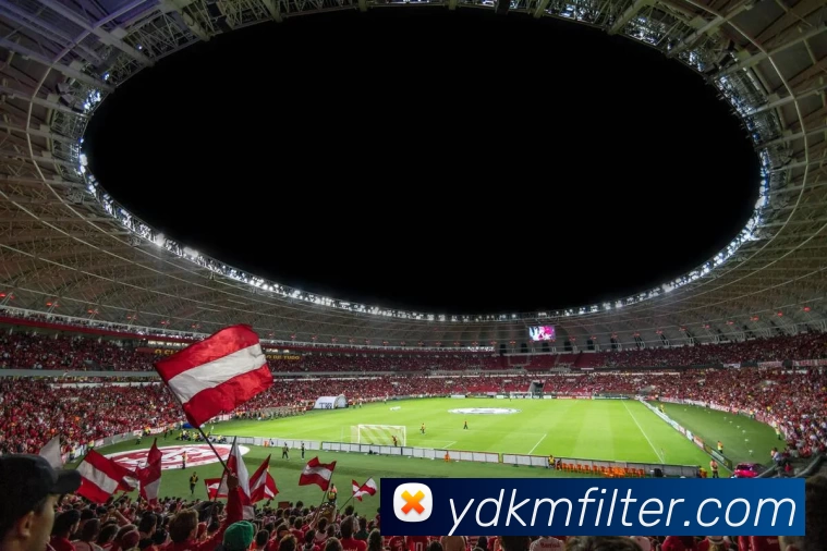 九游体育APP 封面图